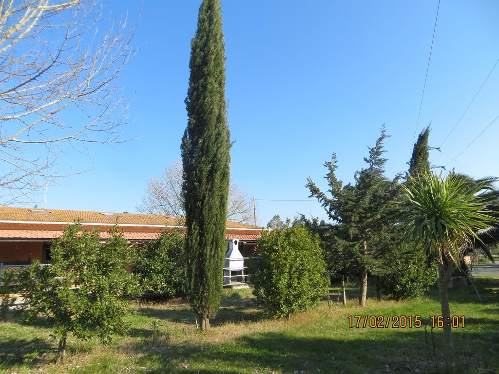 Agriturismo Il Cipresso Villa Vada Exterior foto